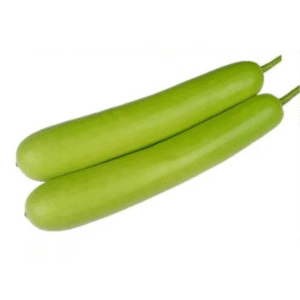 लौकी